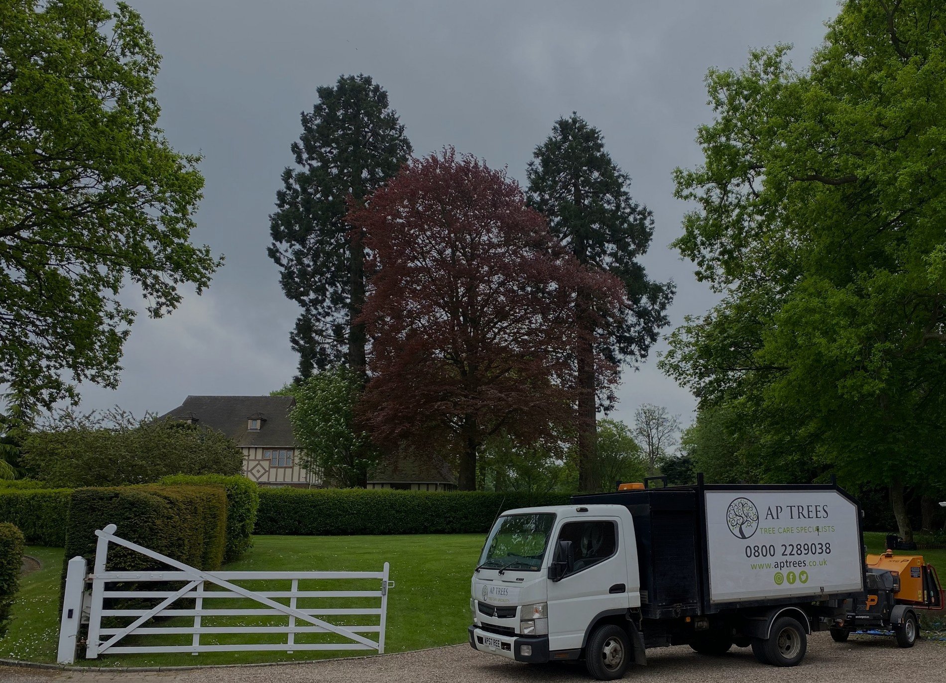 AP Trees Kent | Tree Care Specialists In Kent - Covering All Tree Work
