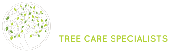 AP Trees (Kent) Ltd.